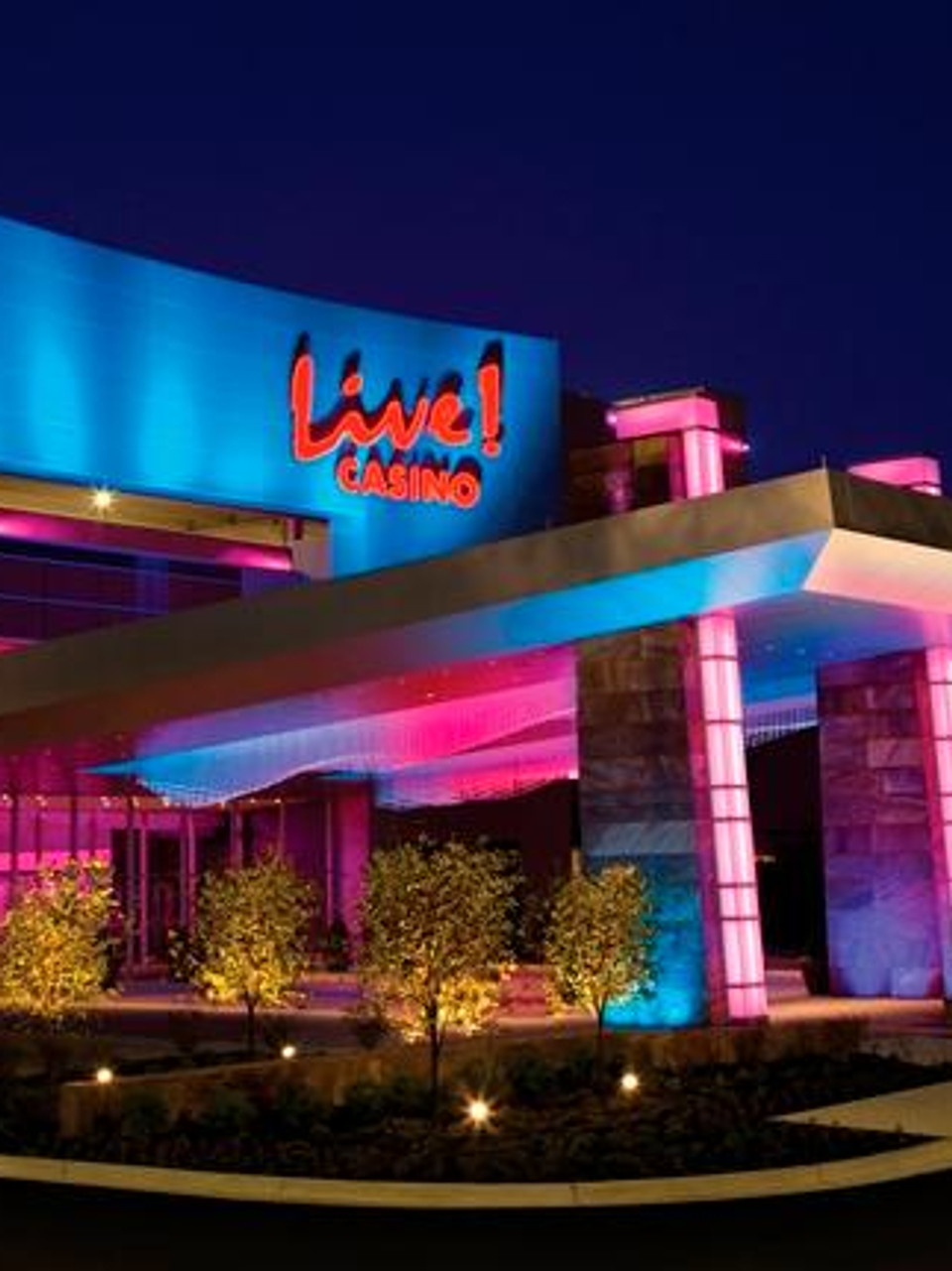 Live Casino